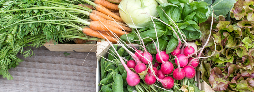 Fitlavia NL - obrázok obdĺžnik (52)